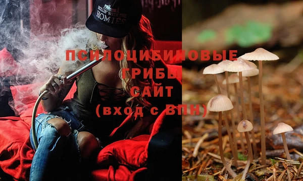 индика Иннополис