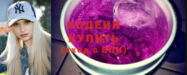 винт Инта