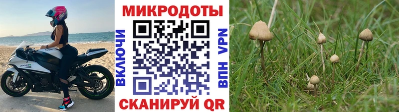 блэк спрут сайт  цены   Андреаполь  Псилоцибиновые грибы Psilocybine cubensis 