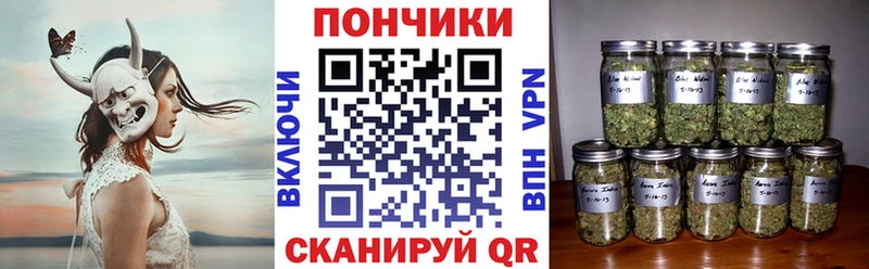 Марихуана сатива  мега tor  Андреаполь  купить  